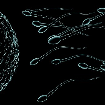 Male Infertility